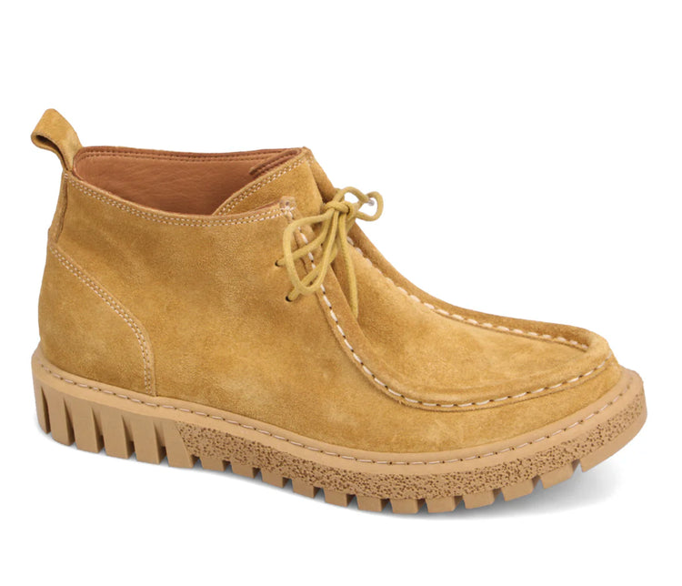 Bueno - Sana in Dandelion