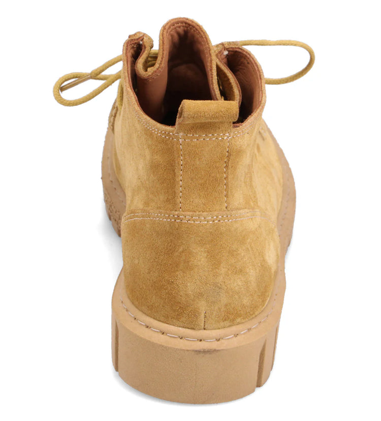 Bueno - Sana in Dandelion