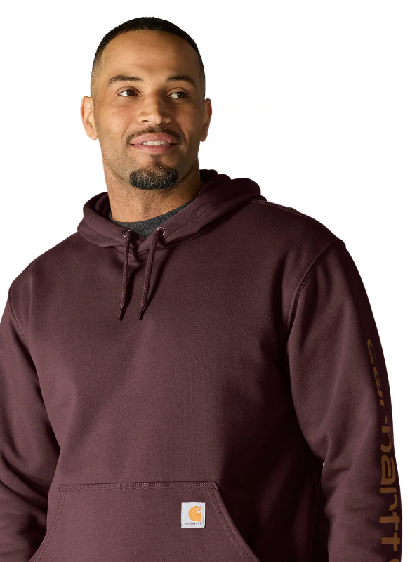 Carhartt- Loose Fit Midweight Logo Sleeve Graphic Hoodie